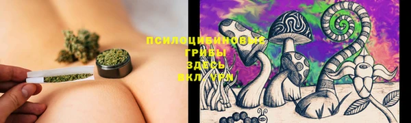 Альфа ПВП Новозыбков