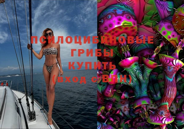 Альфа ПВП Новозыбков
