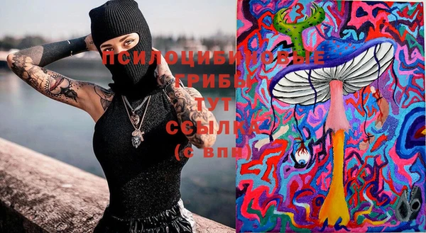 мескалин Новодвинск